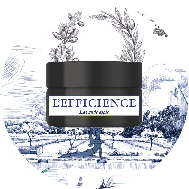 EFFICIENCE_HOME
